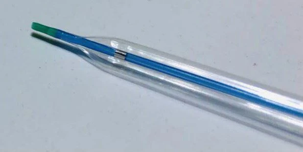 AVF PTA Balloon