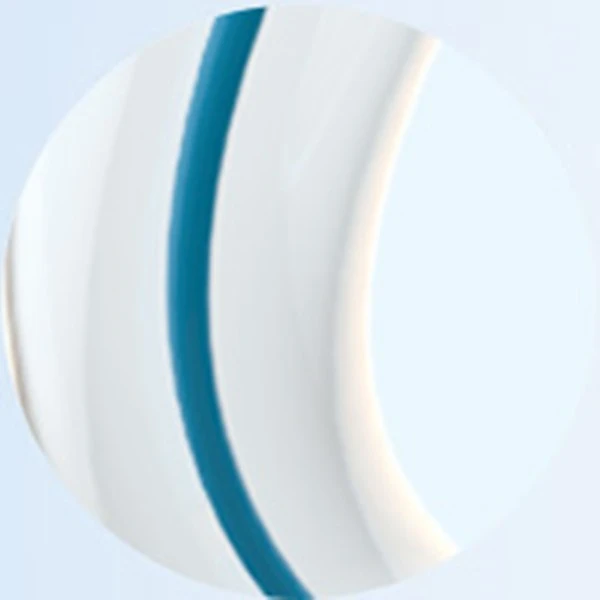 SC PTCA Dilation Balloon Catheter